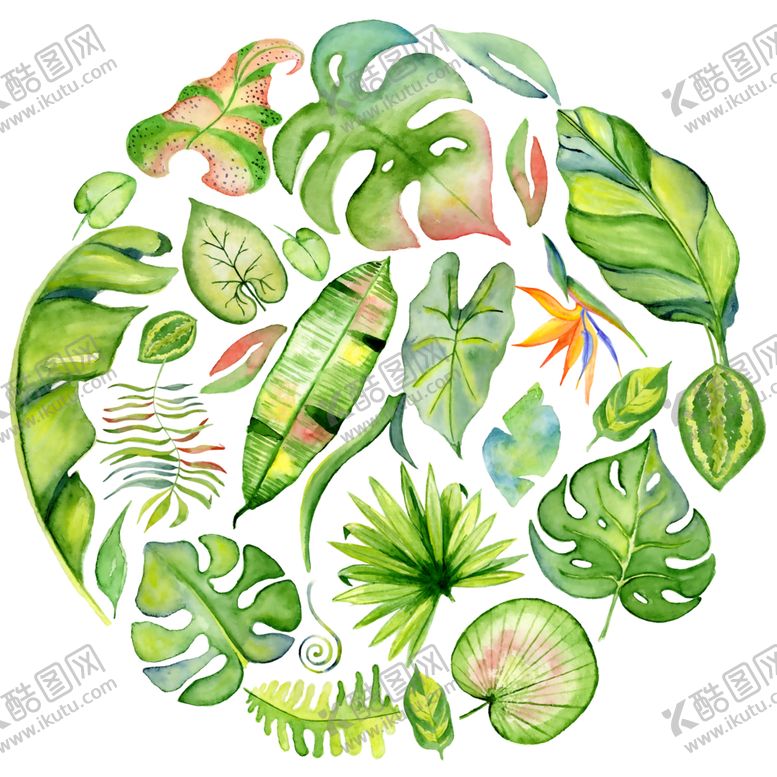 编号：85709209300631143541【酷图网】源文件下载-热带叶子