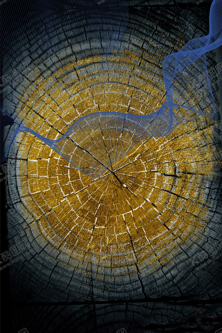 编号：54251109280952006575【酷图网】源文件下载-欧式装饰画