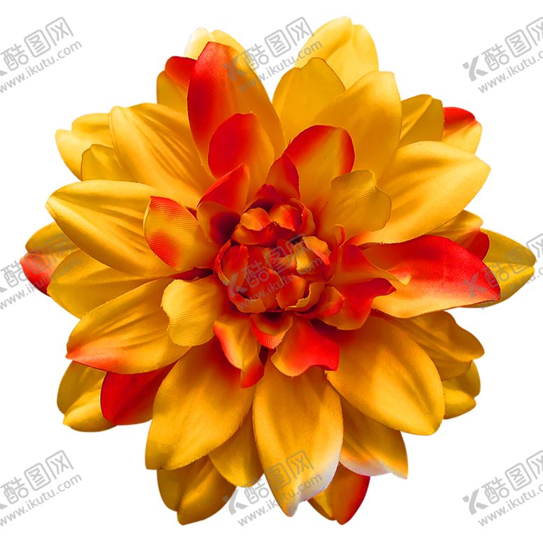 编号：33893006250207455964【酷图网】源文件下载-鲜花装饰