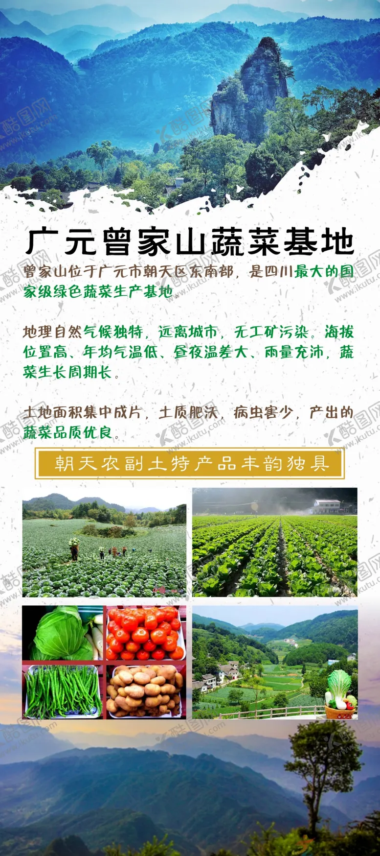 编号：94180406301109429150【酷图网】源文件下载-蔬菜海报