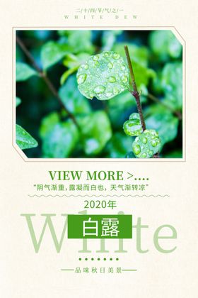 白露建筑海报地产单张