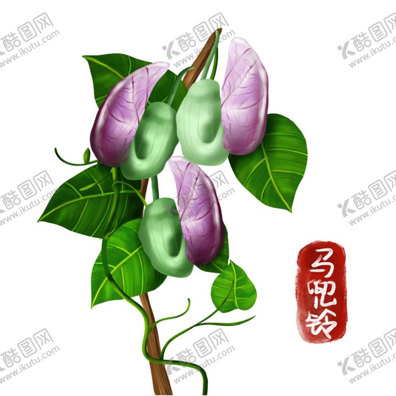 编号：79034512072106588567【酷图网】源文件下载-植物