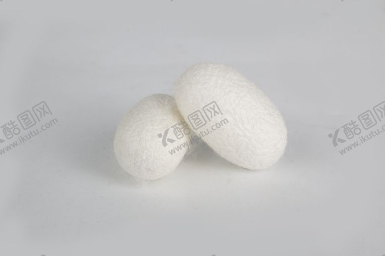 编号：51545509142049033973【酷图网】源文件下载-蚕茧蚕蛹