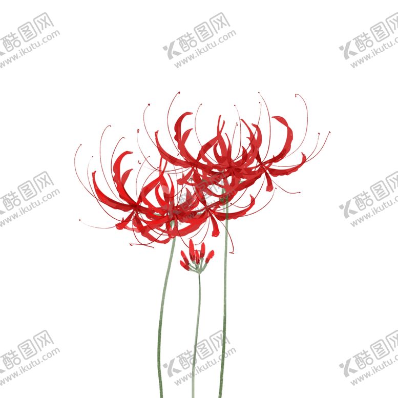 编号：76534009250427411739【酷图网】源文件下载-手绘植物花卉