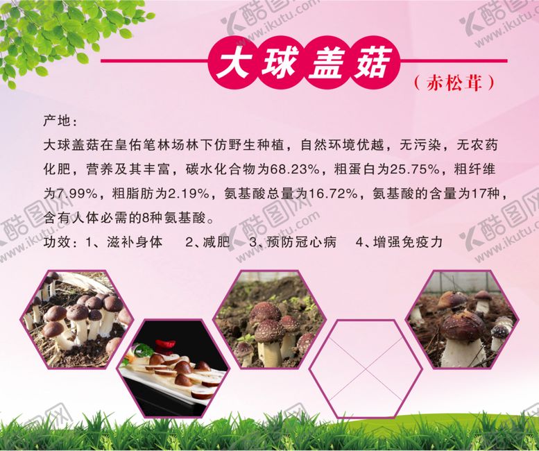 编号：47903012161112525611【酷图网】源文件下载-盖菇海报