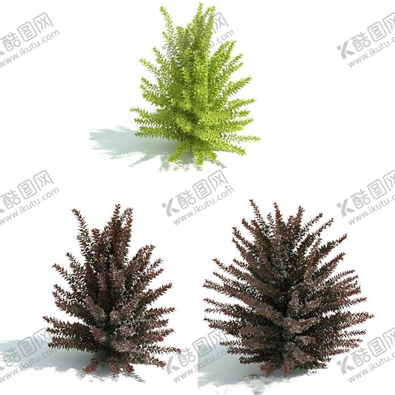编号：71723101281340212295【酷图网】源文件下载-C4D模型绿色植物