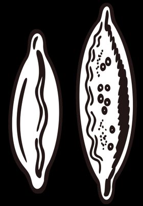 卡通画线描儿童描图彩笔