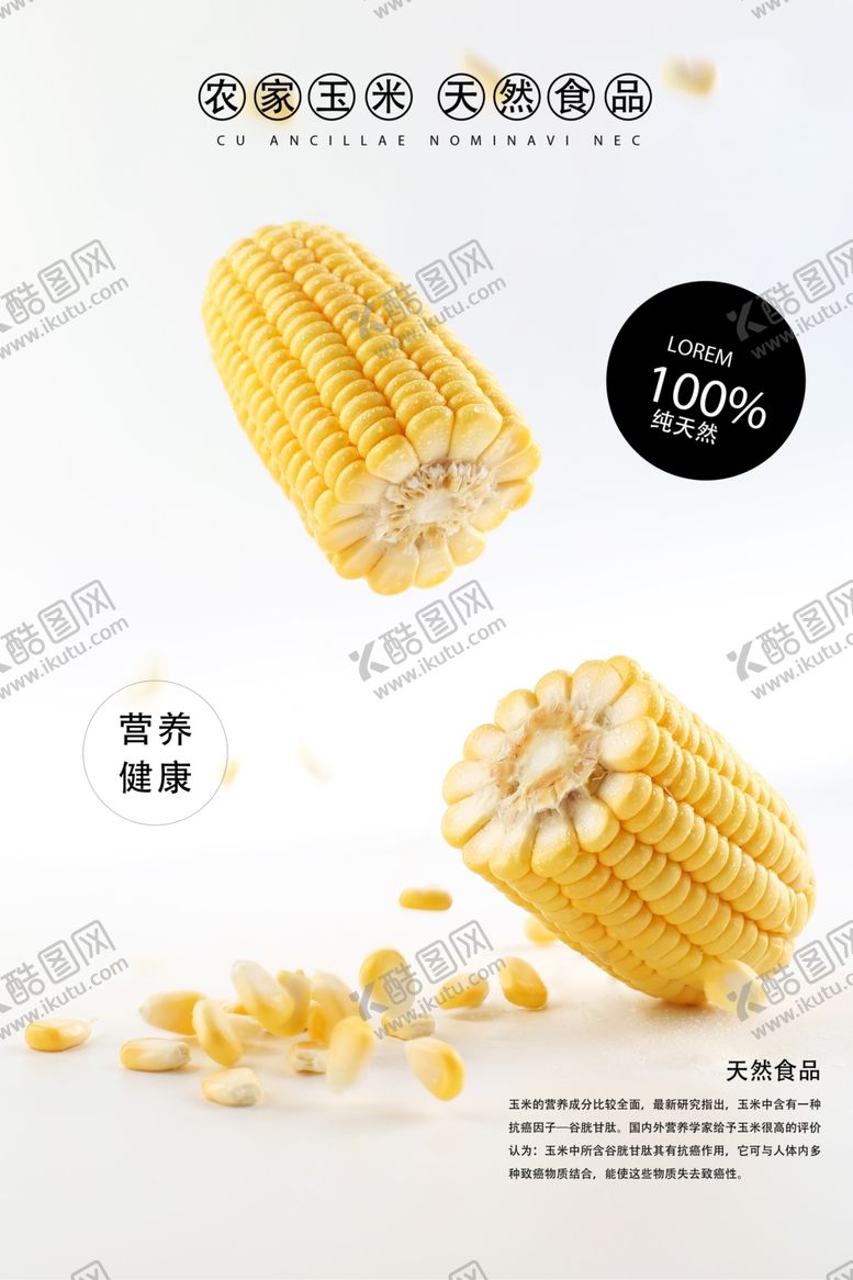 编号：97038407131944549484【酷图网】源文件下载-玉米海报
