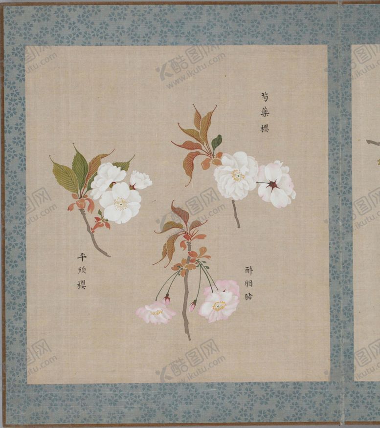 编号：34411209221421226469【酷图网】源文件下载-樱花