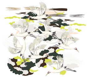 鹤插画