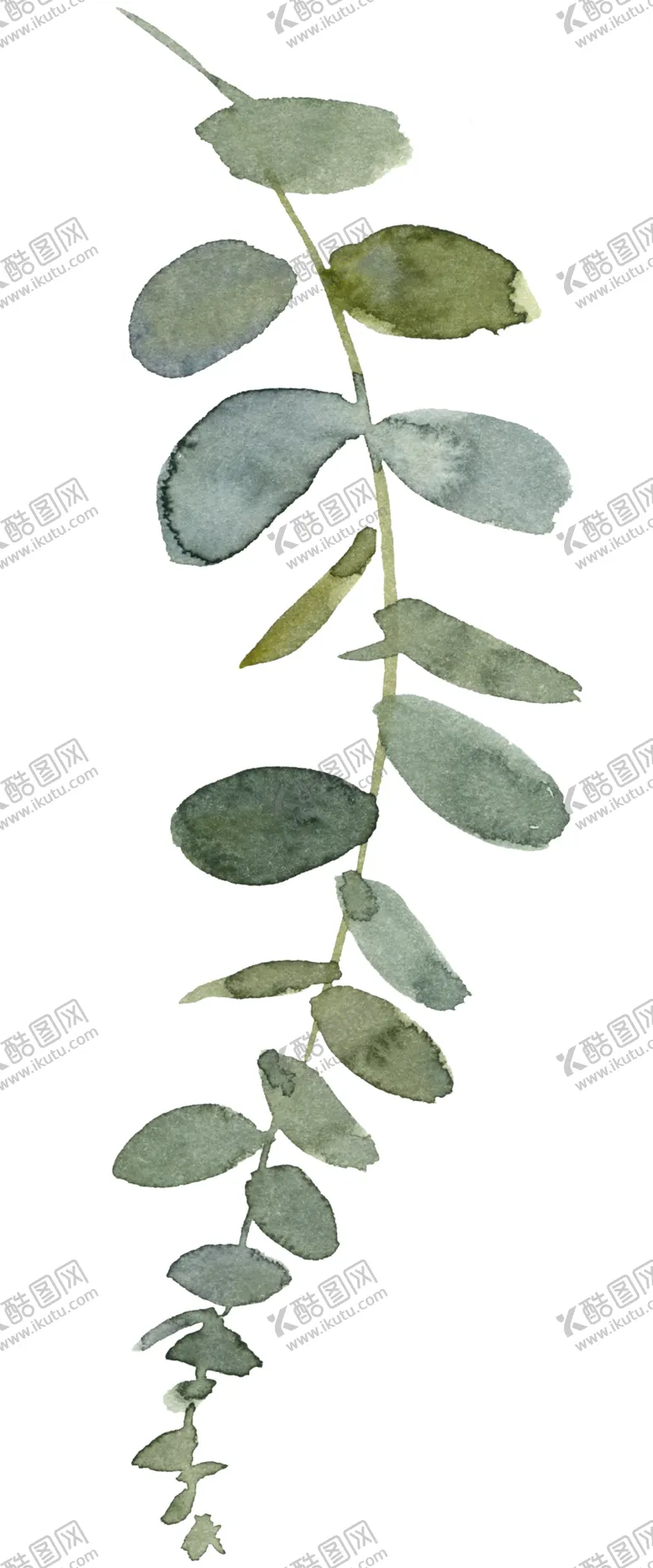编号：54668007062036532599【酷图网】源文件下载-花卉树叶