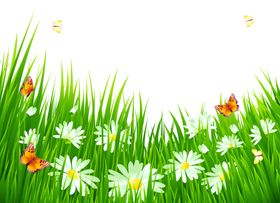 创意花