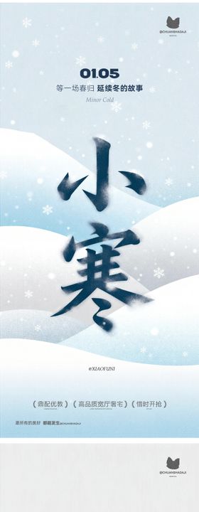 小寒大寒插画海报