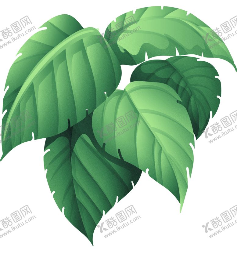 编号：35115502112205319014【酷图网】源文件下载-绿植大叶子热带雨林