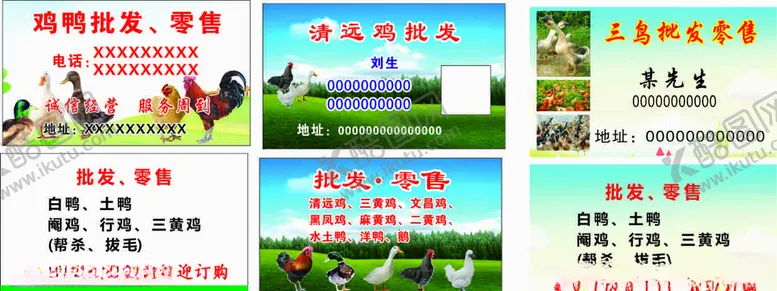 编号：10261306281732455645【酷图网】源文件下载-鸡鸭批发名片