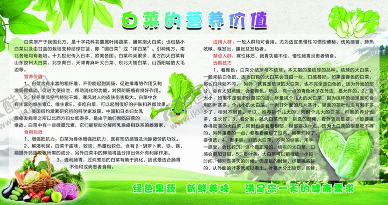 编号：17132810280924484376【酷图网】源文件下载-白菜的营养价值