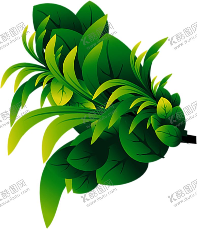 编号：29401711011444401593【酷图网】源文件下载-绿色装饰