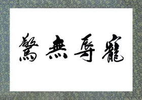 宠辱无惊书法