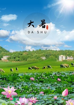 大暑风景荷花海报