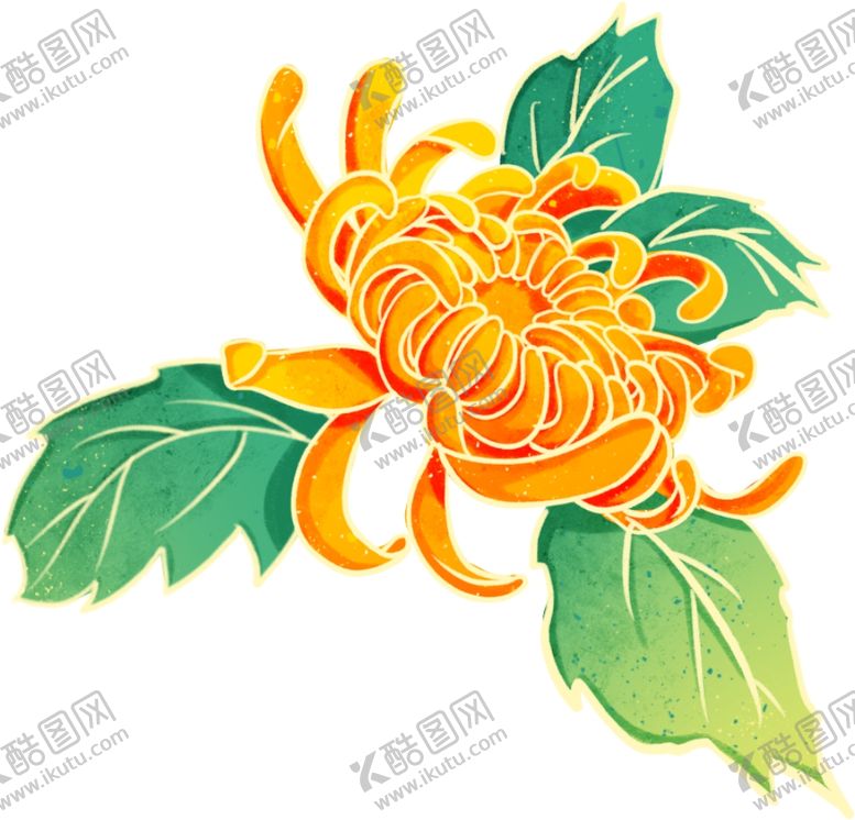 编号：76973612111155487127【酷图网】源文件下载-手绘菊花