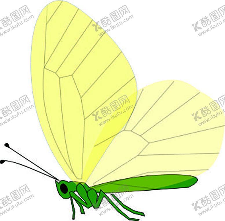 编号：29485101270434272373【酷图网】源文件下载-蝴蝶