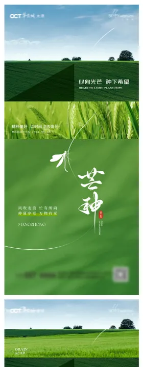 芒种系列海报