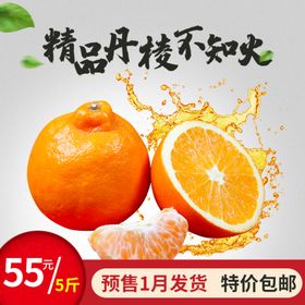 精品丹桔不知火