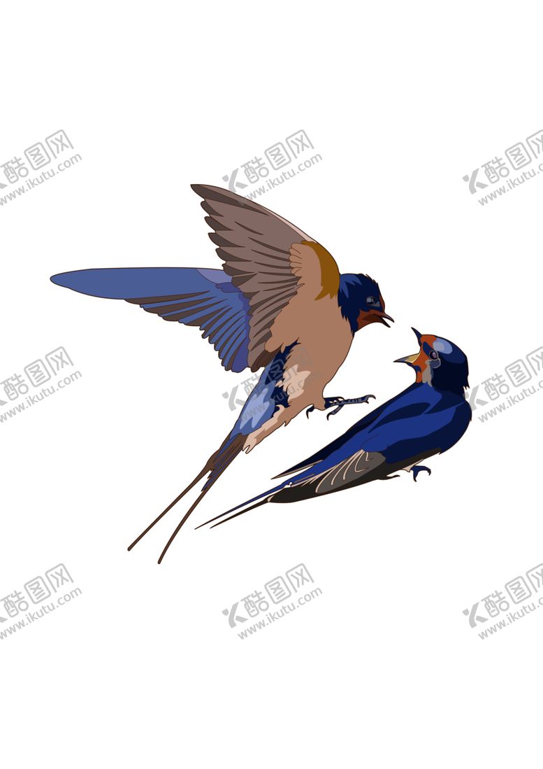 编号：67597909231748055793【酷图网】源文件下载-燕子素材