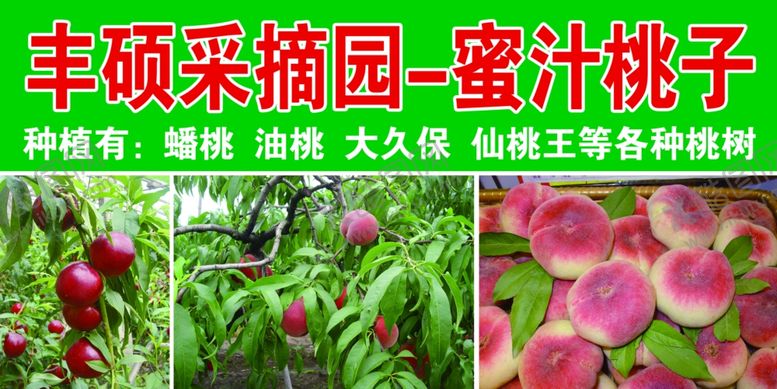 编号：86409701131218568572【酷图网】源文件下载-采摘园