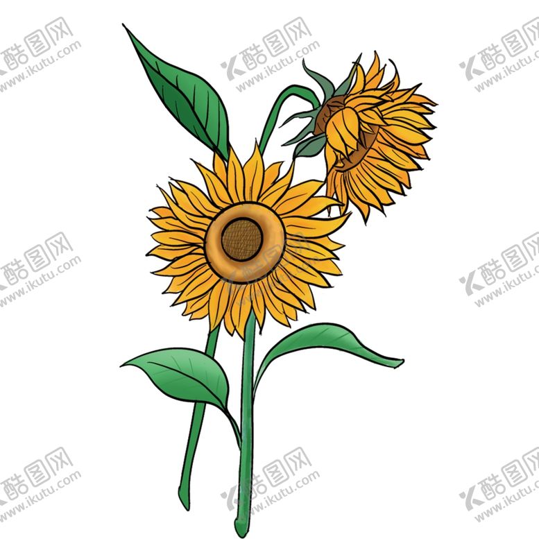 编号：19529004191645334820【酷图网】源文件下载-手绘植物