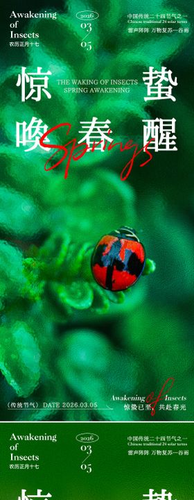 医美惊蛰复苏唤醒海报