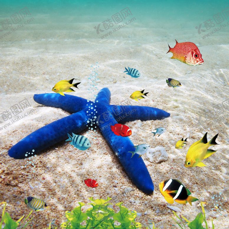 编号：26719109190600396445【酷图网】源文件下载-海星沙滩