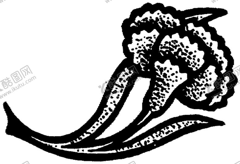 编号：30831909131144332776【酷图网】源文件下载-花纹边框