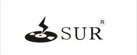 LOGOSUR标志