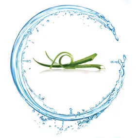 水花素材