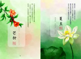 芒种夏至