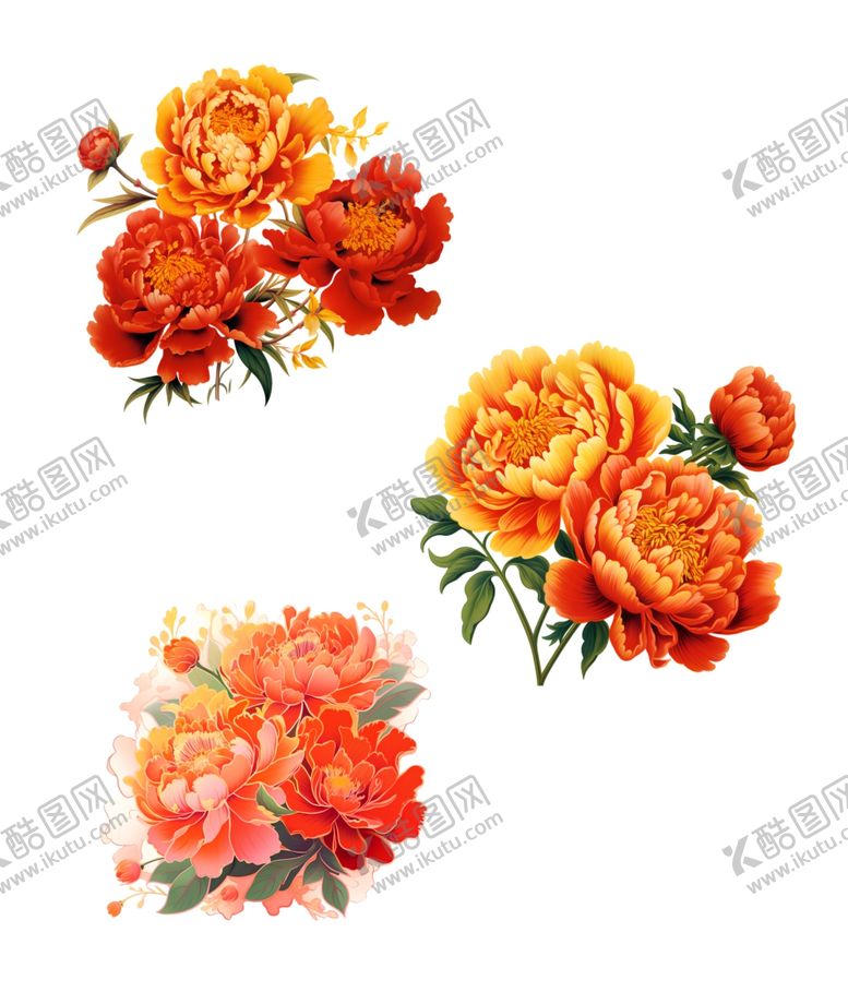 编号：72870501141820463282【酷图网】源文件下载-牡丹花
