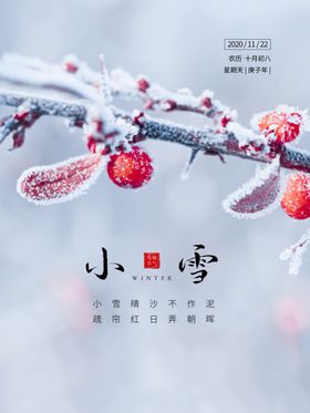 小雪海报插画24节气冬季