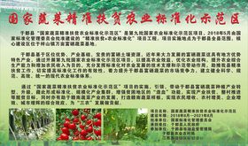蔬菜基地折页