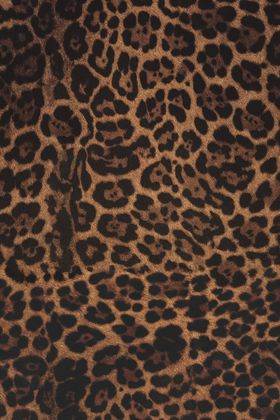 豹纹图案纹理特写