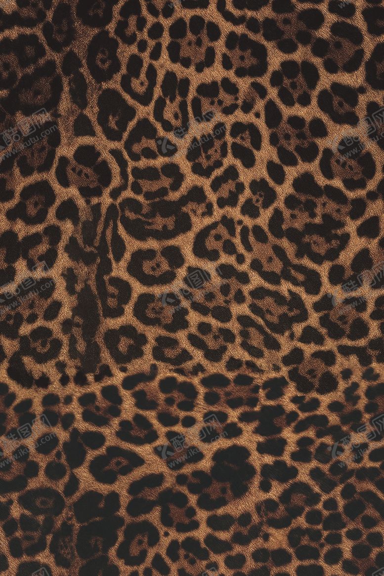 编号：51580504211211039990【酷图网】源文件下载-豹纹图案纹理特写