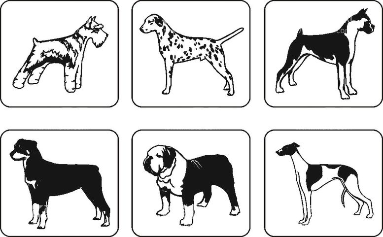 编号：45767312010229491338【酷图网】源文件下载-宠物打标图