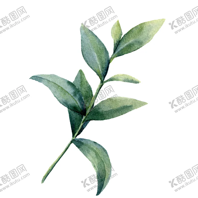 编号：83227201132302233490【酷图网】源文件下载-手绘花卉