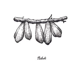 素描水果