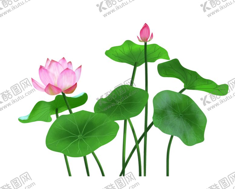编号：37065905032340254955【酷图网】源文件下载-荷花元素