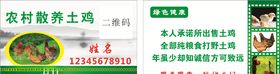 散养鸡名片