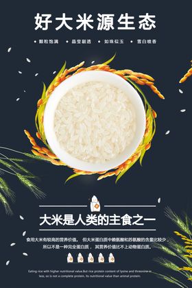 原生态好大米海报