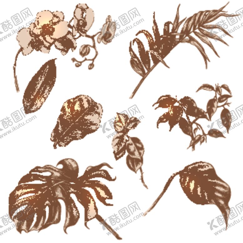 编号：37709604292309469220【酷图网】源文件下载-豌豆花植物