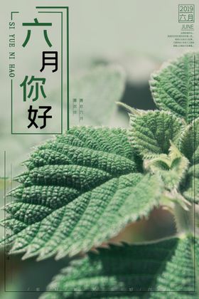 6月你好