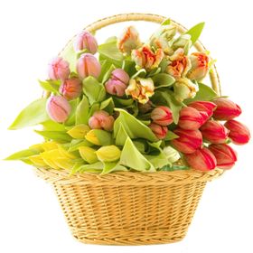 鲜花